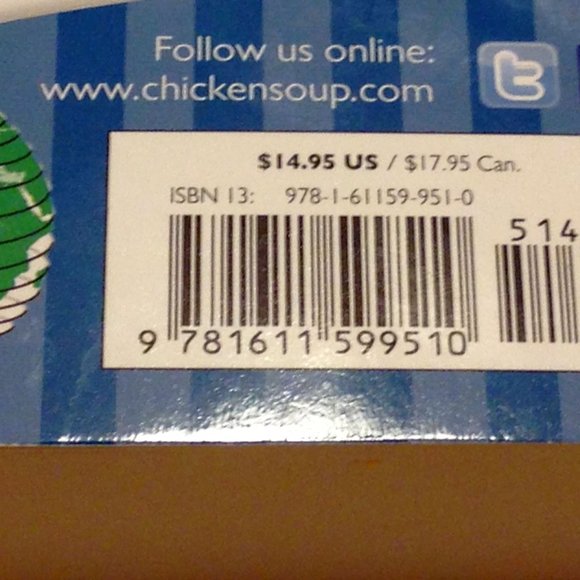 Inspirational, Chicken Soup for the Soul Volunteering - Picture 4 of 6